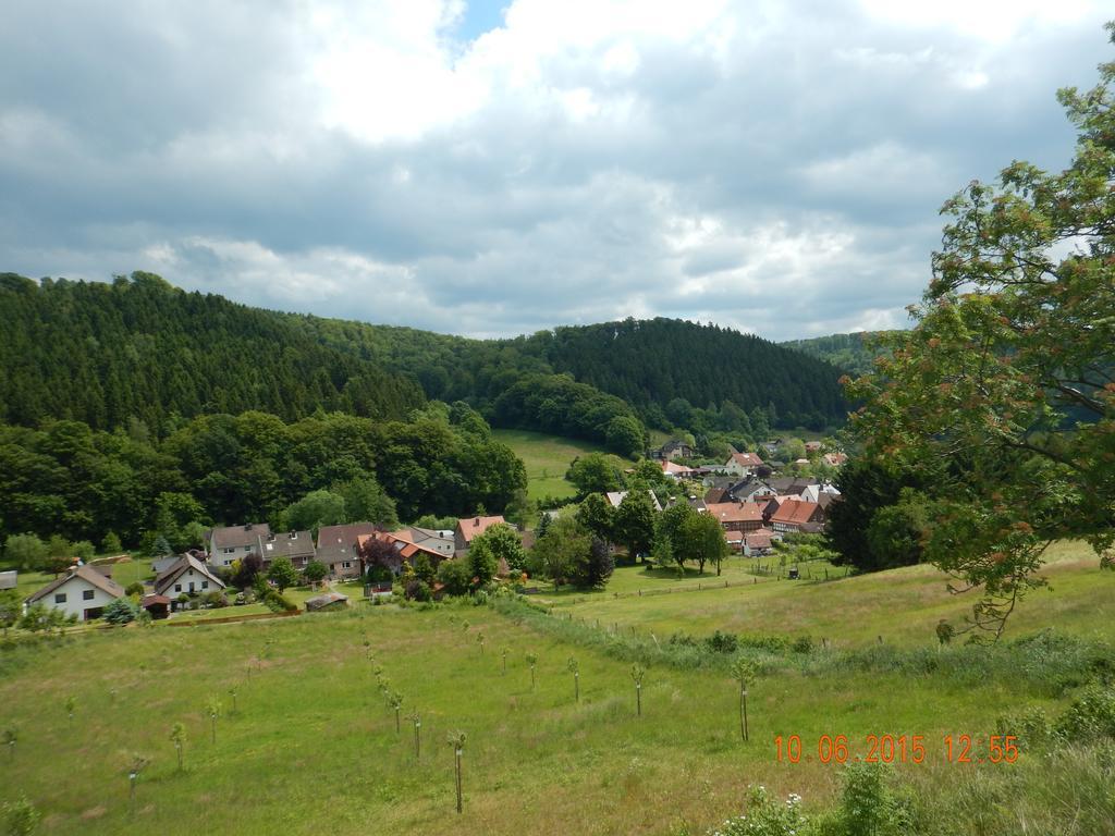 Hôtel Gasthaus Kohlerhof à Delliehausen Extérieur photo